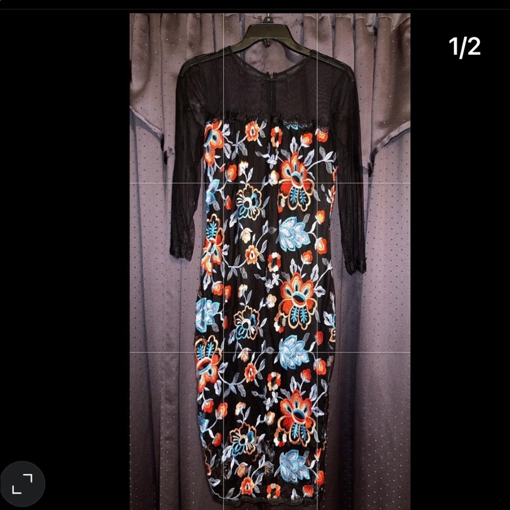 Beautiful embroidered dress with sheer on top. Knee length. Elegant. 10